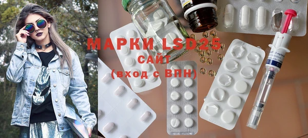 ГАЛЛЮЦИНОГЕННЫЕ ГРИБЫ Семёнов