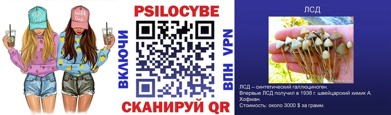 Псилоцибиновые грибы Cubensis  Армянск 
